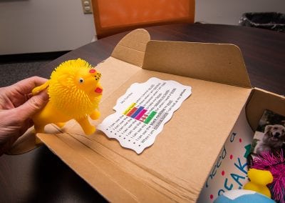 Photo description: Close up of a therapeutic activity "break" box filled with various items and suggestions for a child who needs a "break." One suggestion reads can use the yellow band when I cannot sit still. A hand to the left of the photo holds a small, squishy plastic toy lion.