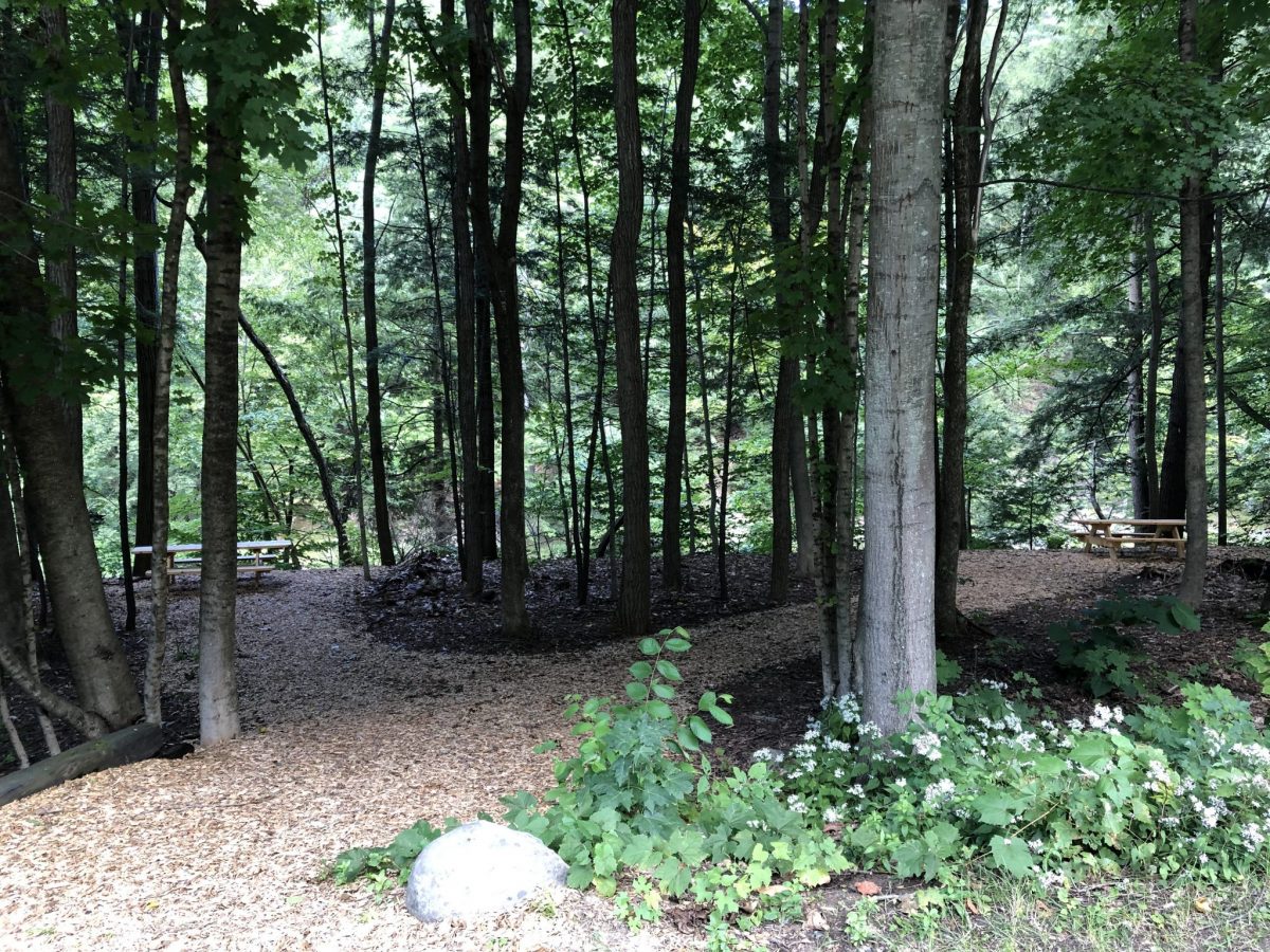 A new woodchip trail can be seen leading to some resting spots with picknic tables along the Black River in Springfield. The area is sorrounded by mature trees and shrubs and a nice spot for walkers using the trail